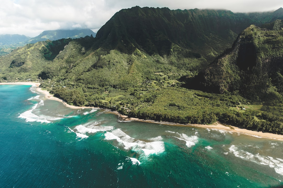 feliz cumpleaños for Bita